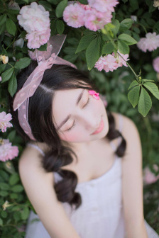 陌上又花开电视剧免费观看全集高清